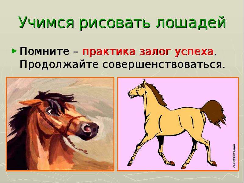 Учимся рисовать лошадей