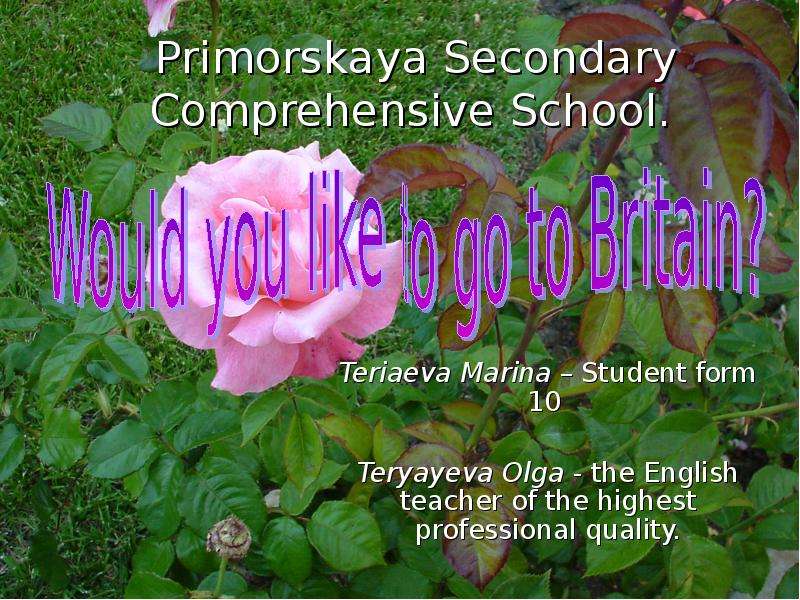 Презентация Primorskaya Secondary Comprehensive School. Teriaeva Marina – Student form 10 Teryayeva Olga - the English teacher of the highest professional quality.