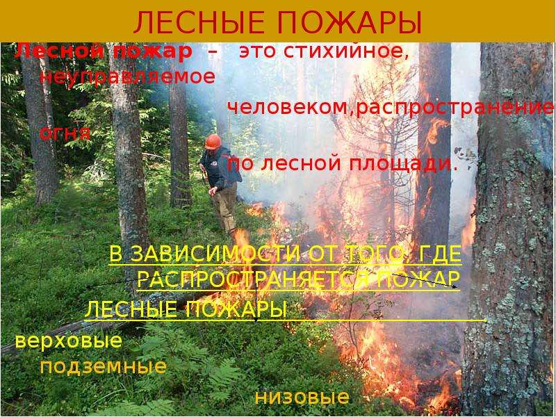 Лесной пожар это стихийное,