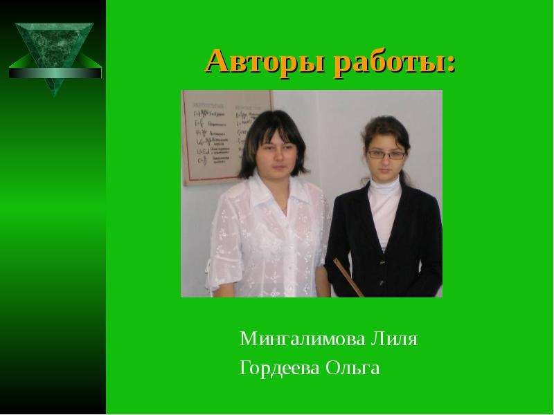 Авторы работы Мингалимова