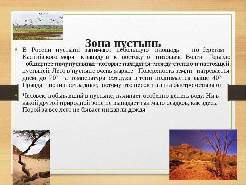 Зона пустынь В России пустыни