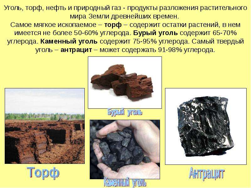 Уголь, торф, нефть и