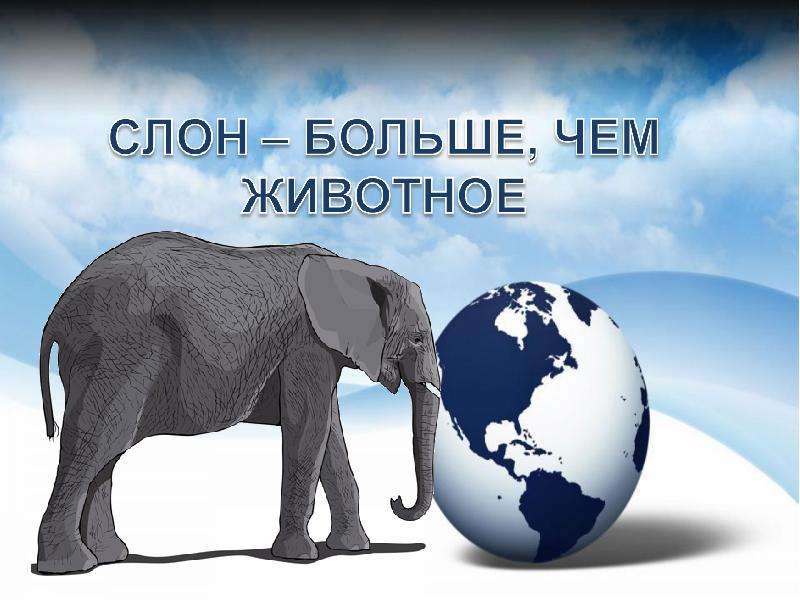 Презентация Слон – больше, чем животное - презентация к уроку Окружающий мир