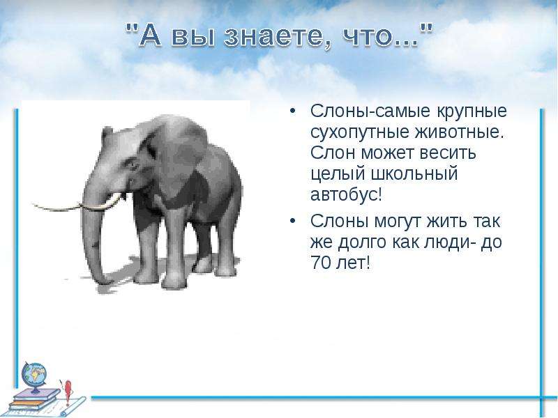Слоны-самые крупные