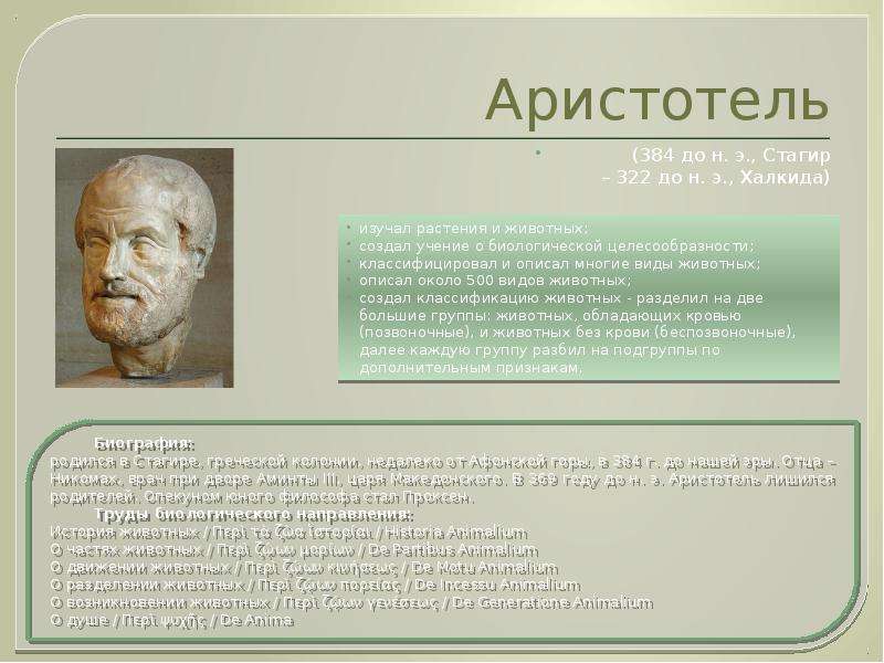 Аристотель до н. э., Стагир