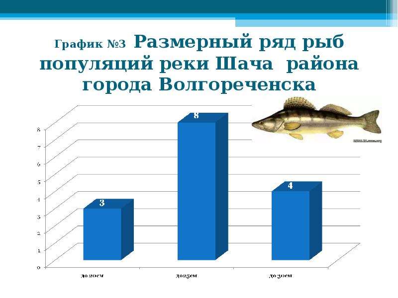 График Размерный ряд рыб