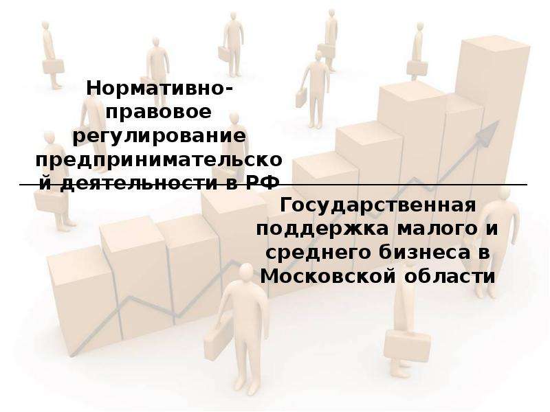 Презентация На тему Нормативно-правовое регулирование предпринимательской деятельности в РФ