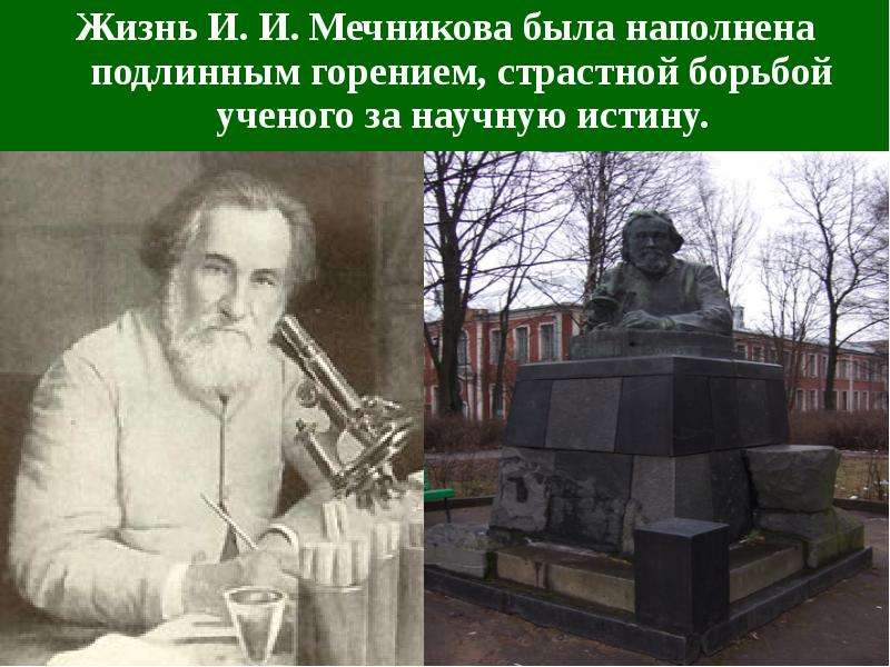 Жизнь И. И. Мечникова была