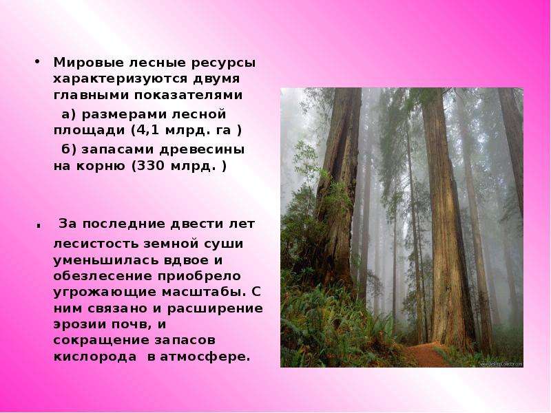 Мировые лесные ресурсы