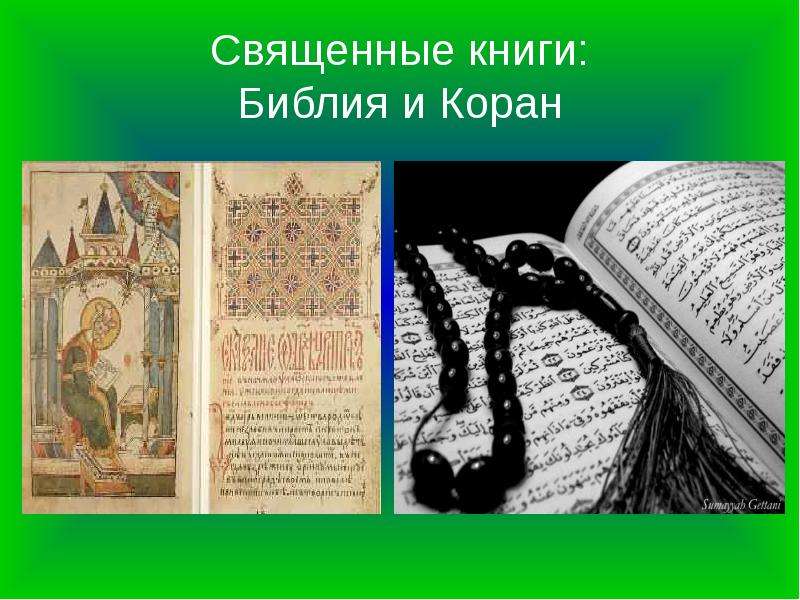 Священные книги Библия и Коран