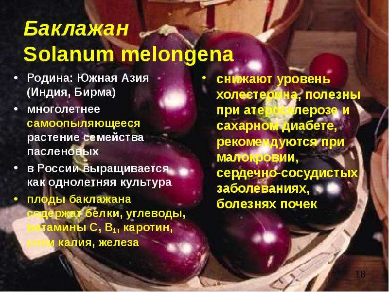 Баклажан Solanum melongena