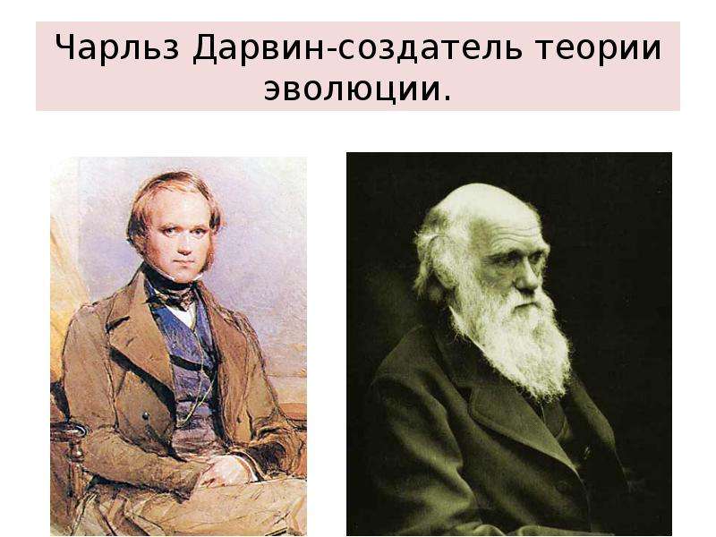 Чарльз Дарвин-создатель