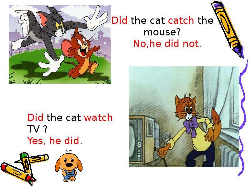 Did the cat catch the mouse?