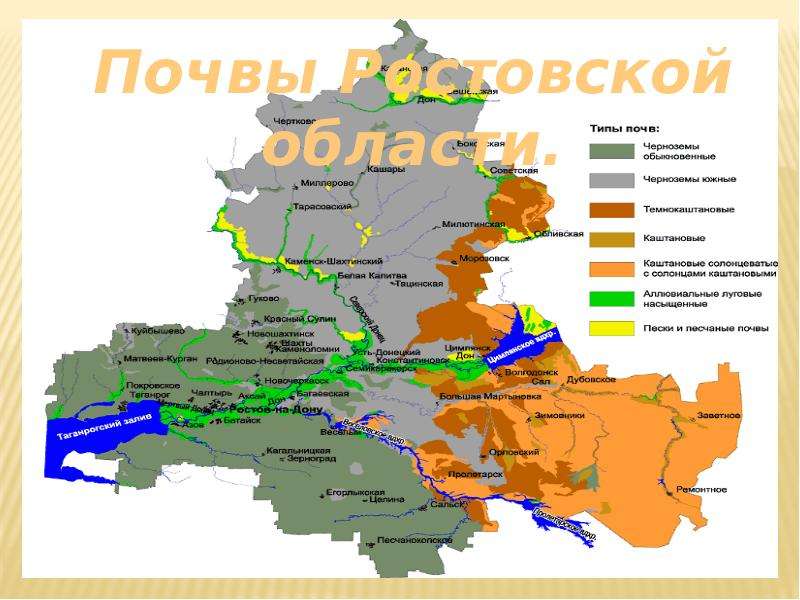 Презентация Почвы ростовской области - презентация к уроку Географии
