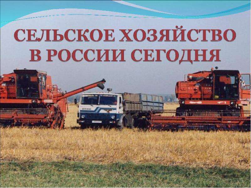 Презентация Сельское хозяйство в России сегодня - презентация к уроку Географии