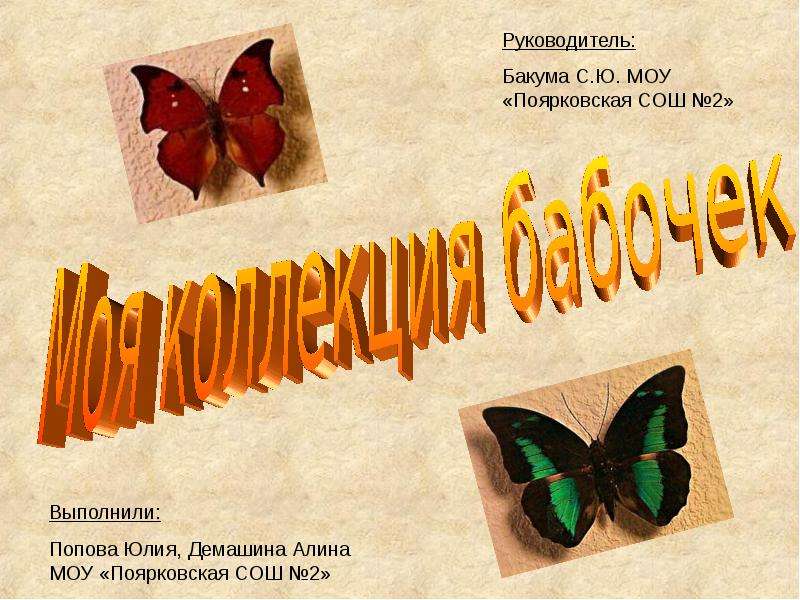 Презентация Моя коллекция бабочек - презентация для начальной школы
