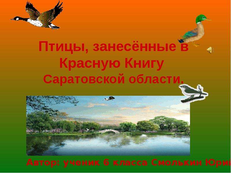 Презентация На тему "Птицы, занесенные в Красную Книгу Саратовской области" - скачать бесплатно презентации по Биологии
