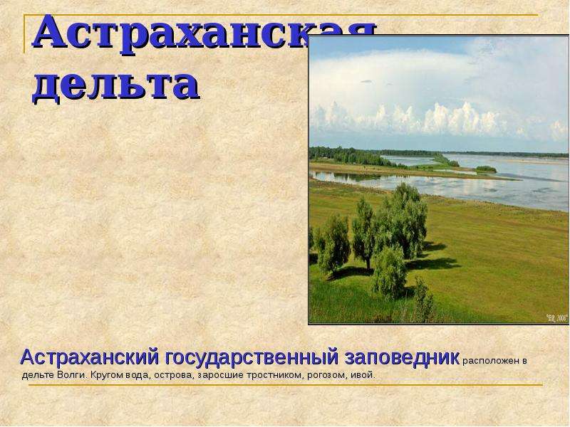 Астраханская дельта