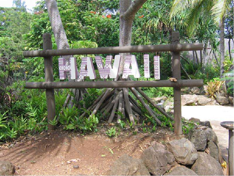 Презентация К уроку английского языка "The Hawaiian Islands" - скачать бесплатно