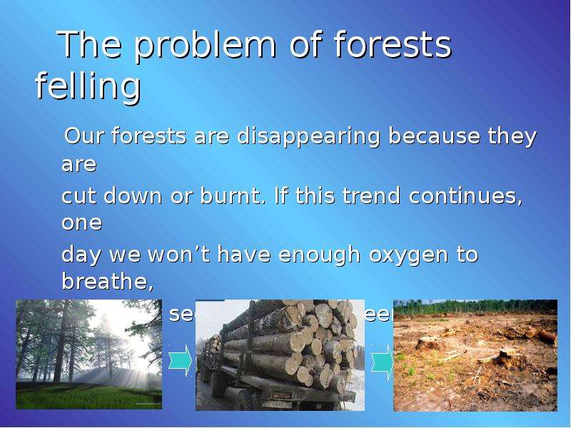 The problem of forests