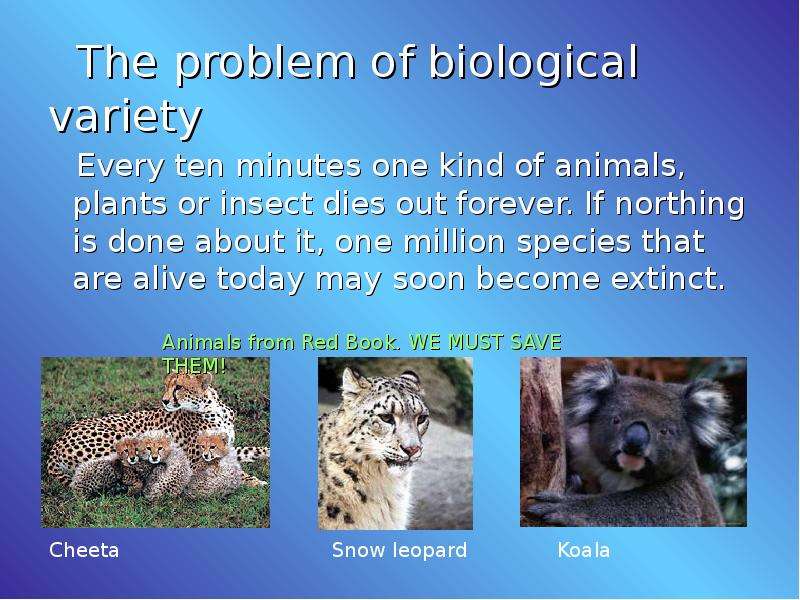 The problem of biological
