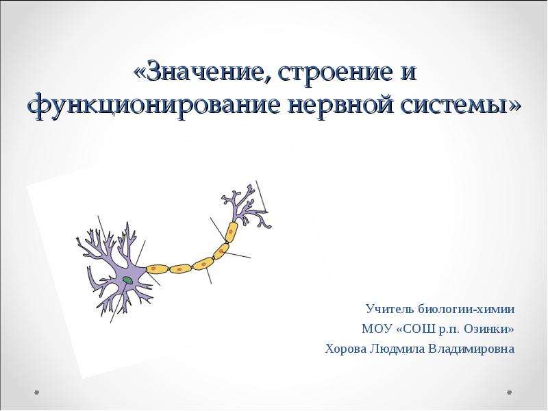 Презентация На тему Значение, строение и функционирование нервной системы