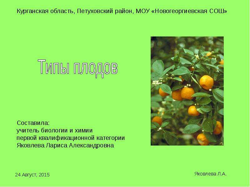 Презентация На тему "Типы плодов" - скачать бесплатно презентации по Биологии