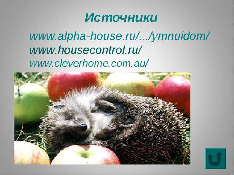 www.alpha-house.ru ...