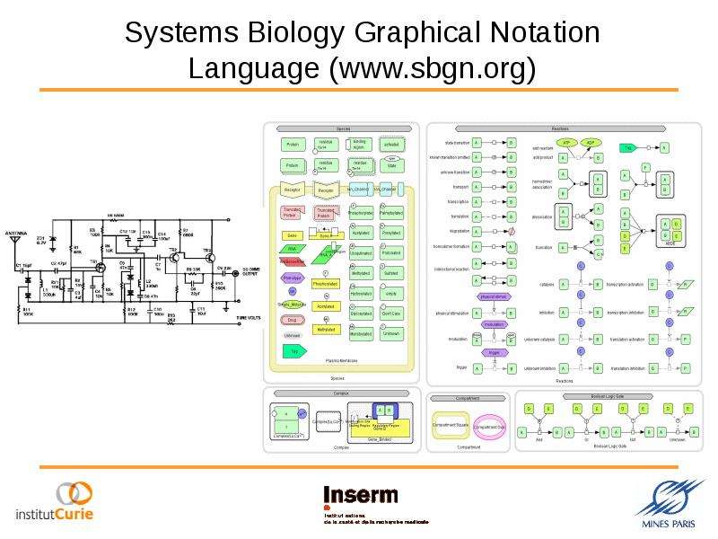 Systems Biology Graphical
