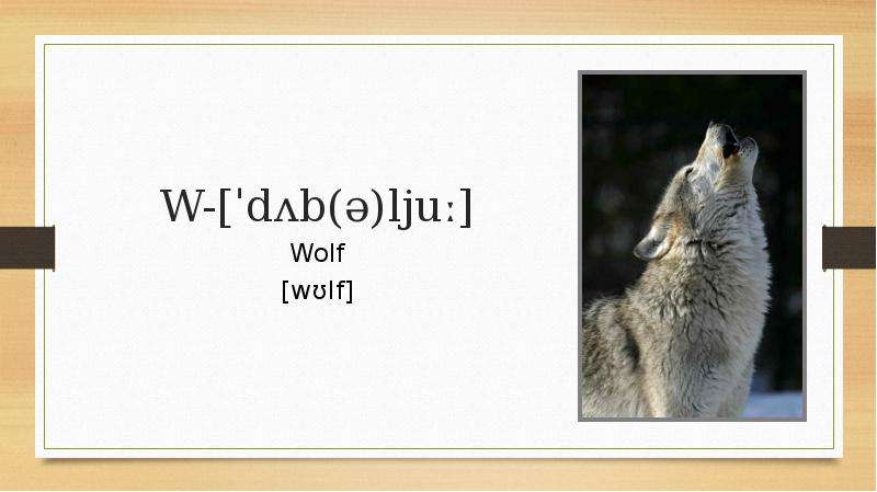 W- db lju Wolf wlf