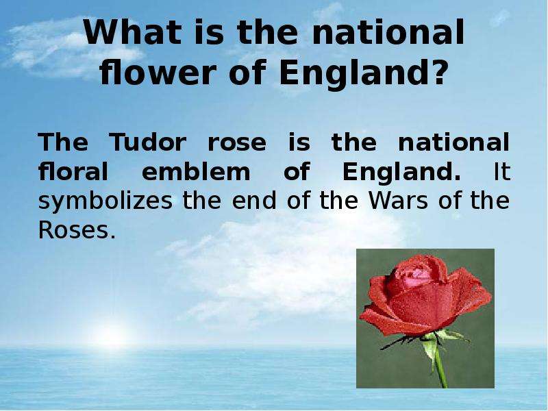 What is the national flower