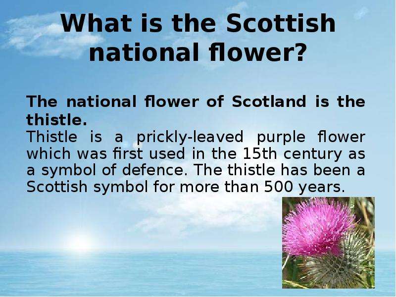 What is the Scottish national