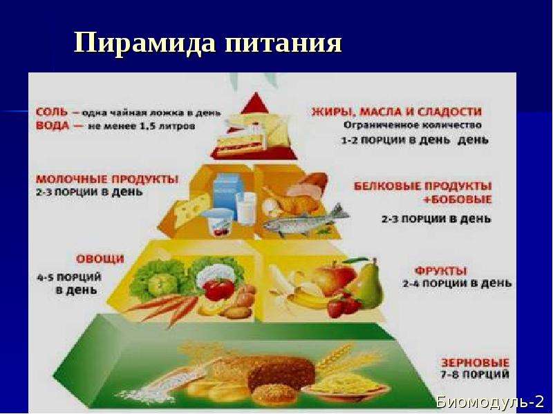 Пирамида питания Биомодуль-