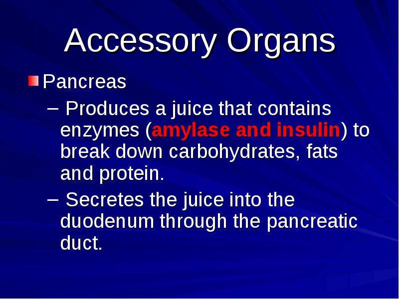 Accessory Organs Pancreas