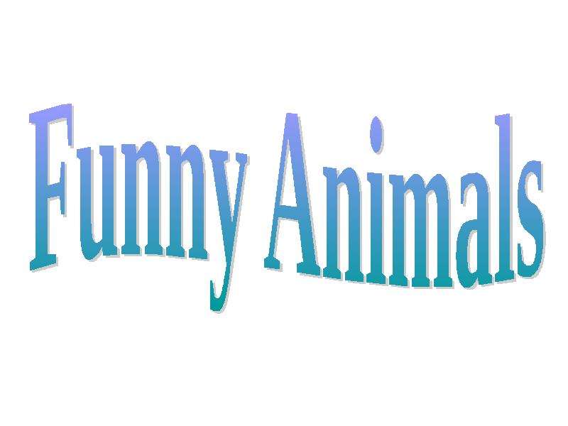 Презентация К уроку английского языка "Funny animals" - скачать