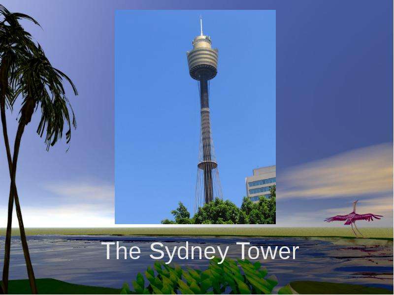 The Sydney Tower
