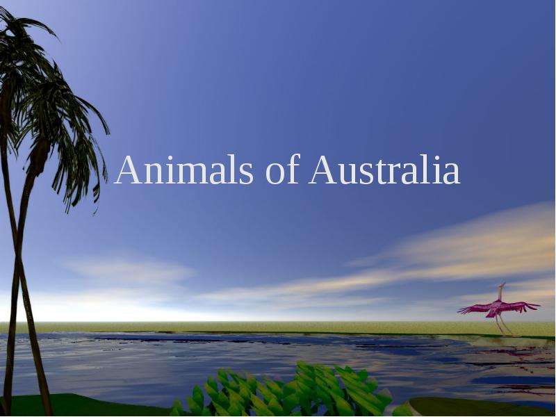 Animals of Australia Animals