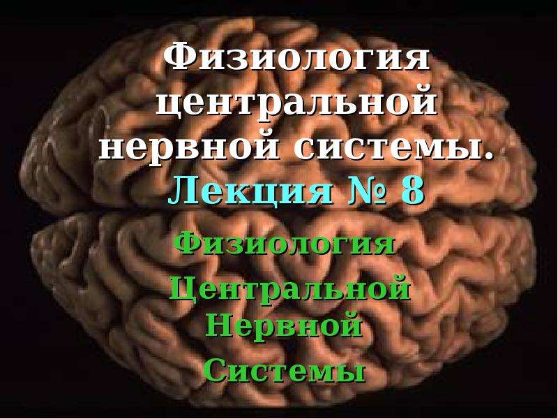 Презентация Физиология центральной нервной системы. Лекция  8