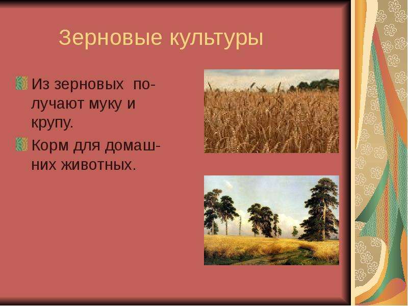 Зерновые культуры Из зерновых
