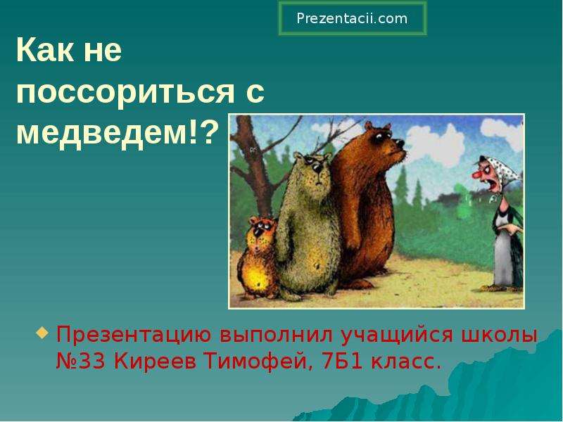 Презентация Как не поссориться с медведем!? Презентацию выполнил учащийся школы 33 Киреев Тимофей, 7Б1 класс.