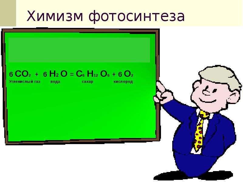 Химизм фотосинтеза