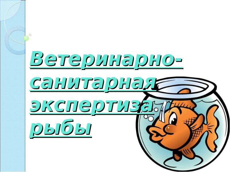 Презентация Ветеринарно-санитарная экспертиза рыбы