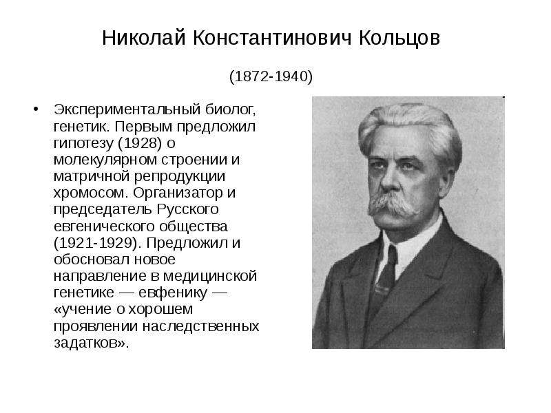 Николай Константинович