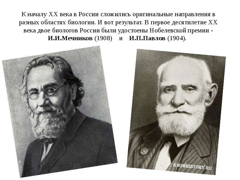 К началу ХХ века в России