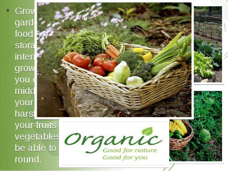 Grow an organic garden.