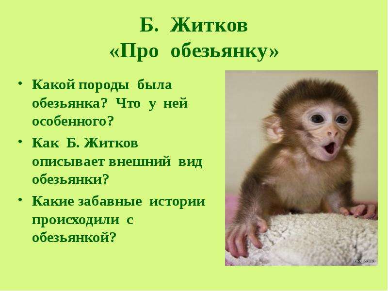 Б. Житков Про обезьянку Какой