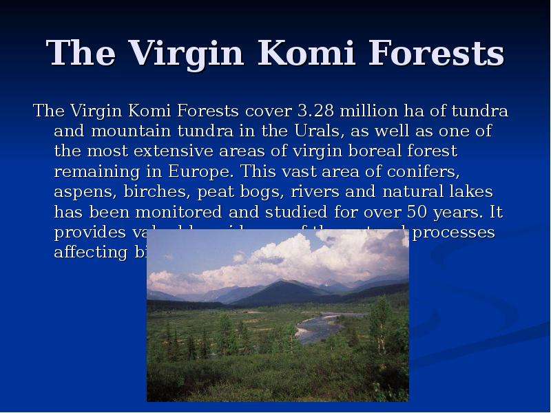The Virgin Komi Forests The