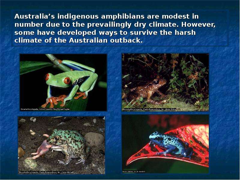 Australia s indigenous