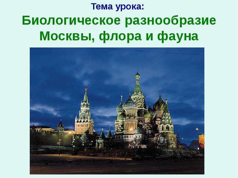 Презентация Биологическое разнообразие Москвы, флора и фауна
