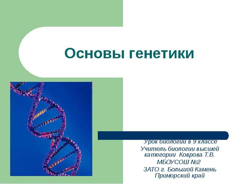 Презентация Основы генетики